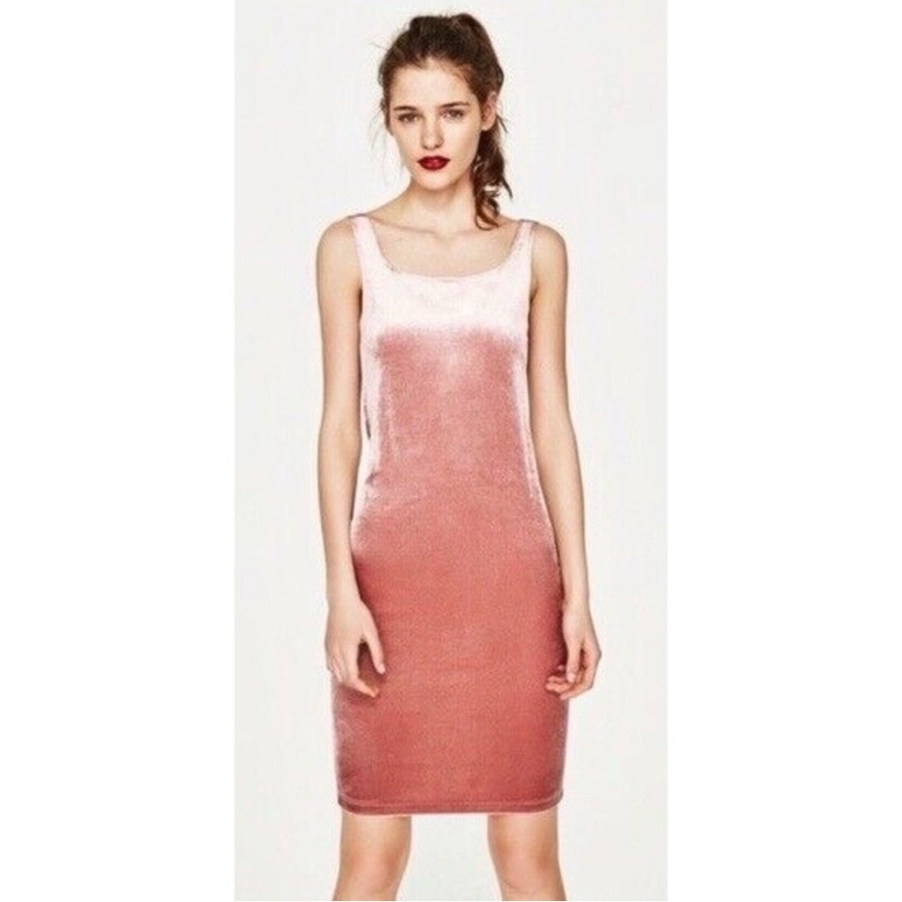 Zara • Trafaluc pink velvet dress